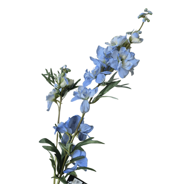 Delpfinium blauw 
