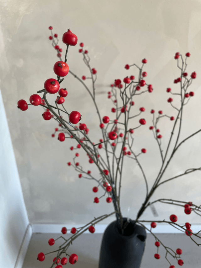 Rosehip spray 118 cm