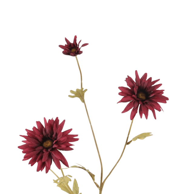 Daisy spray burgundy