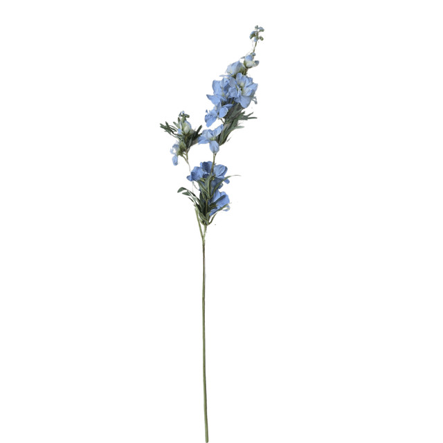 Delpfinium blauw 