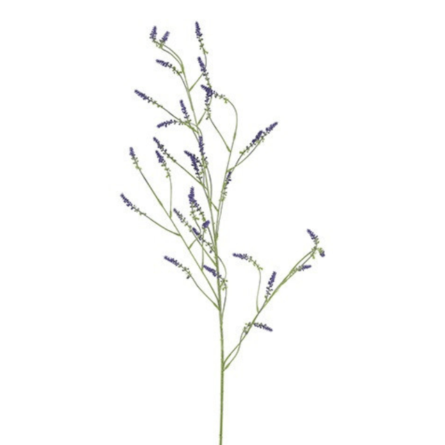 Melilotus paars