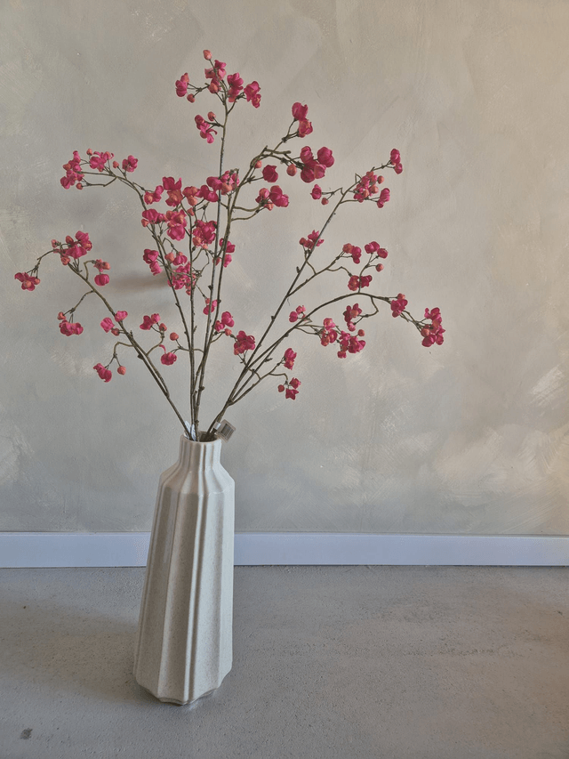 Bittersweet fuchsia