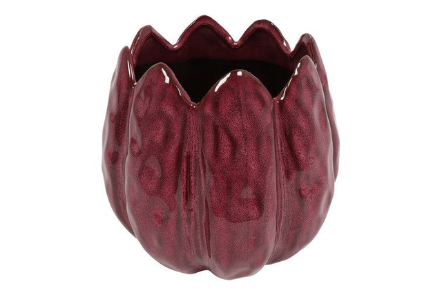 Tulpen pot klein aubergine