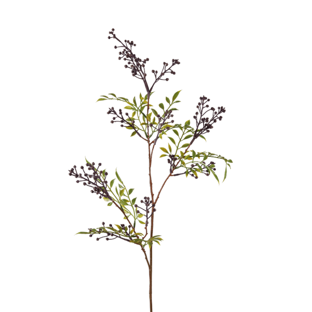 Aglaia Odorata spray paars