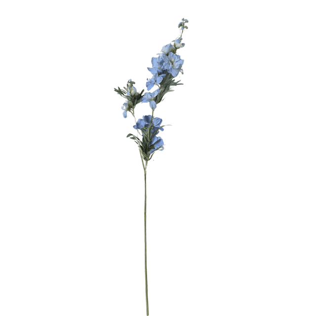 Delpfinium blauw 