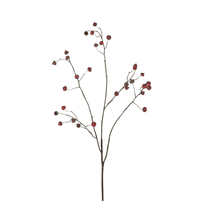 Rosehip 82 cm
