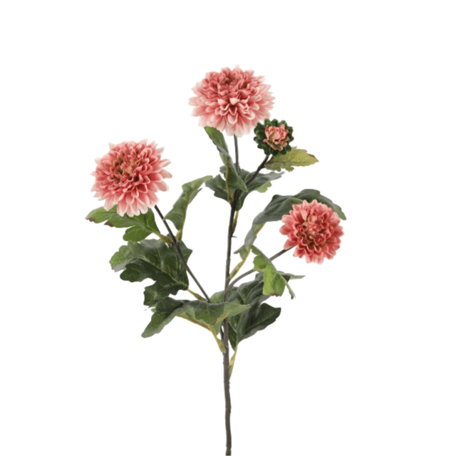 Mum spray roze