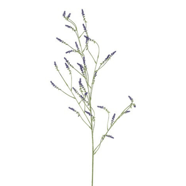 Melilotus paars