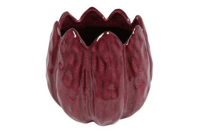 Tulpen pot klein aubergine