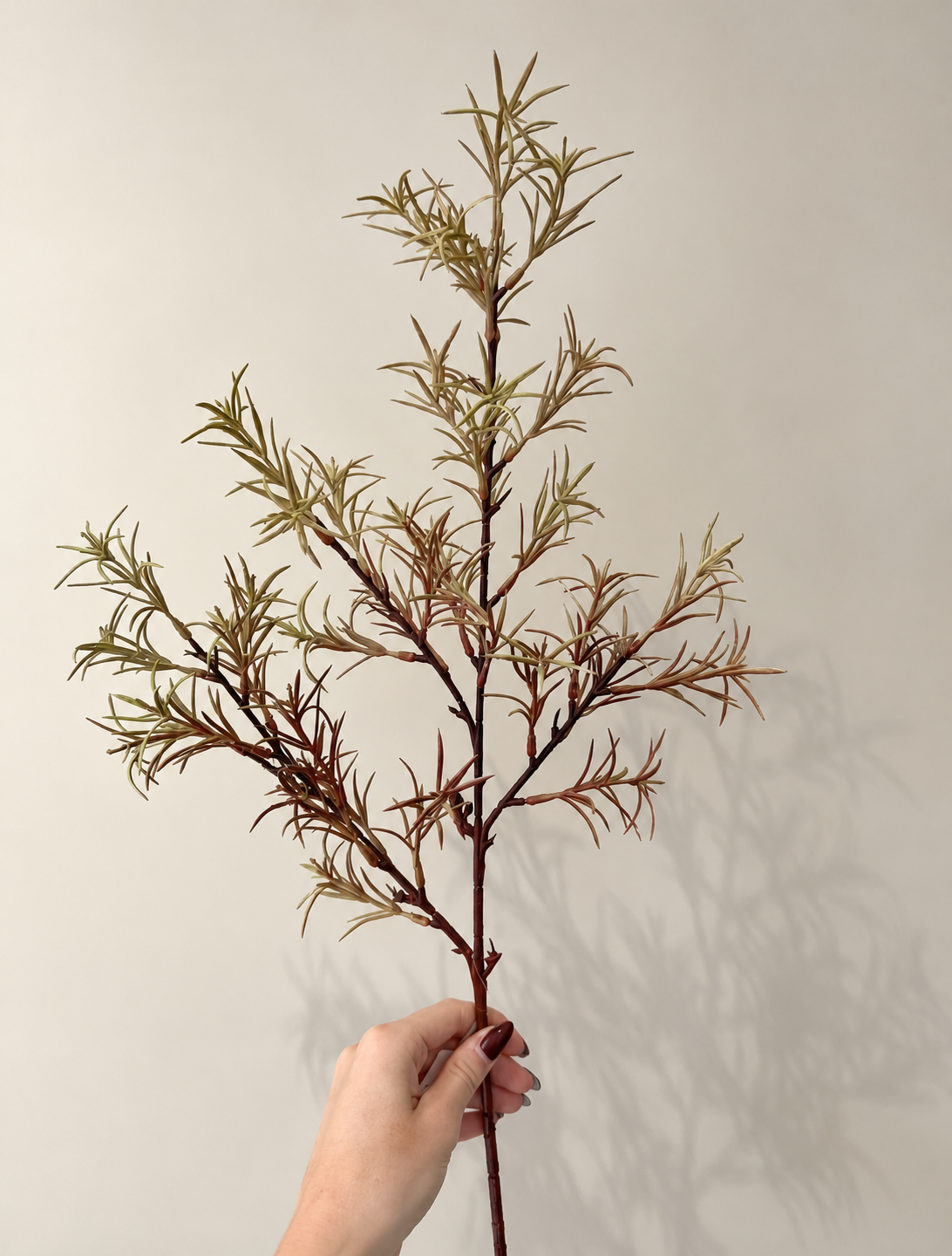 Rosemary Spray | Een frisse groene toevoeging aan ieder zijden boeket.