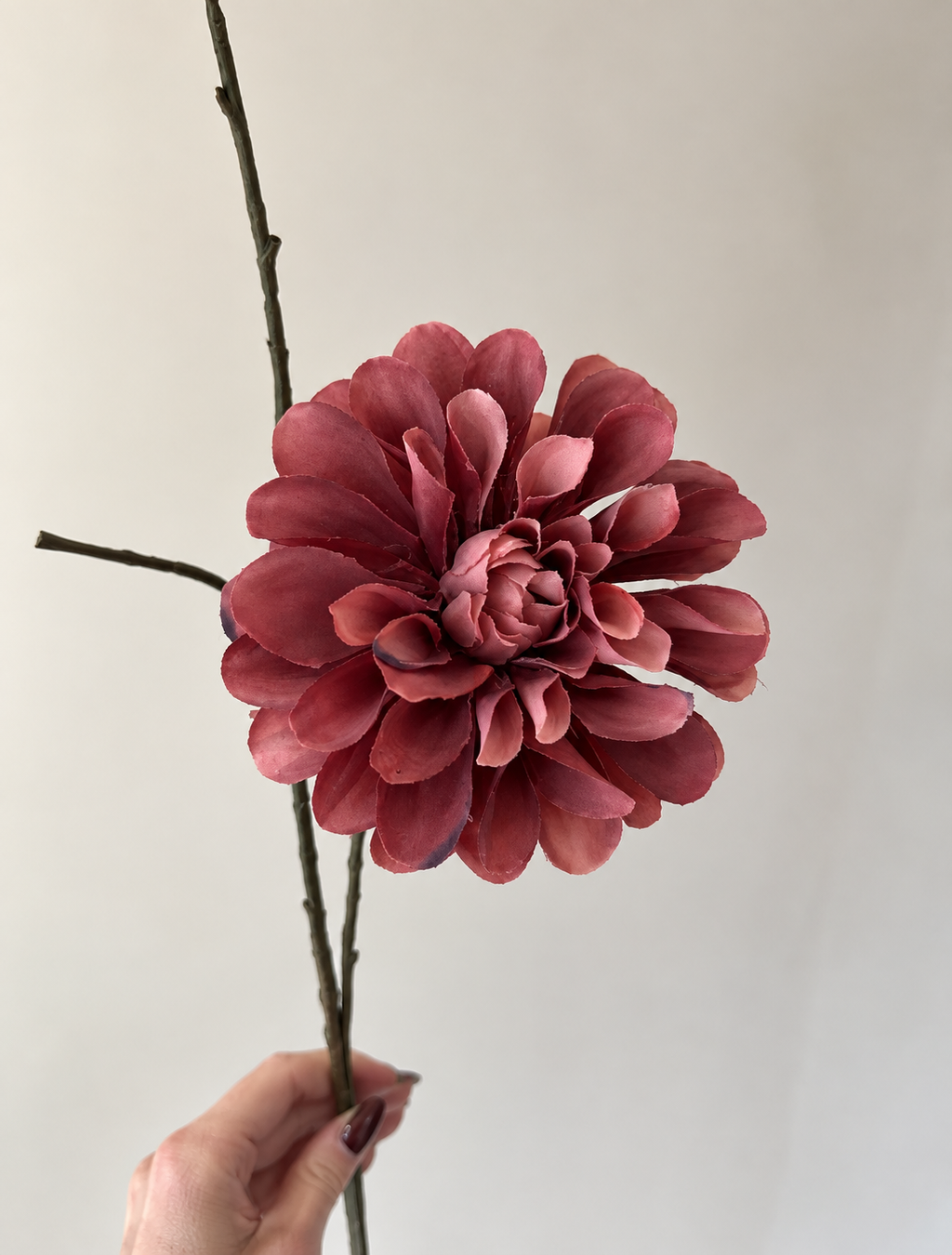 Dahlia Spray Mauve | Zachte uitstraling met een warm karakter