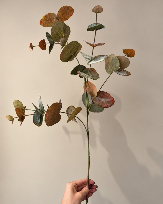 Wild Eucalyptus Spray | Een warme basis voor ieder herfstboeket