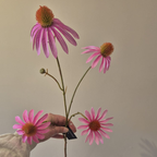 Roze zijden Echinacea | Sfeervolle zijden bloem voor een veldboeket