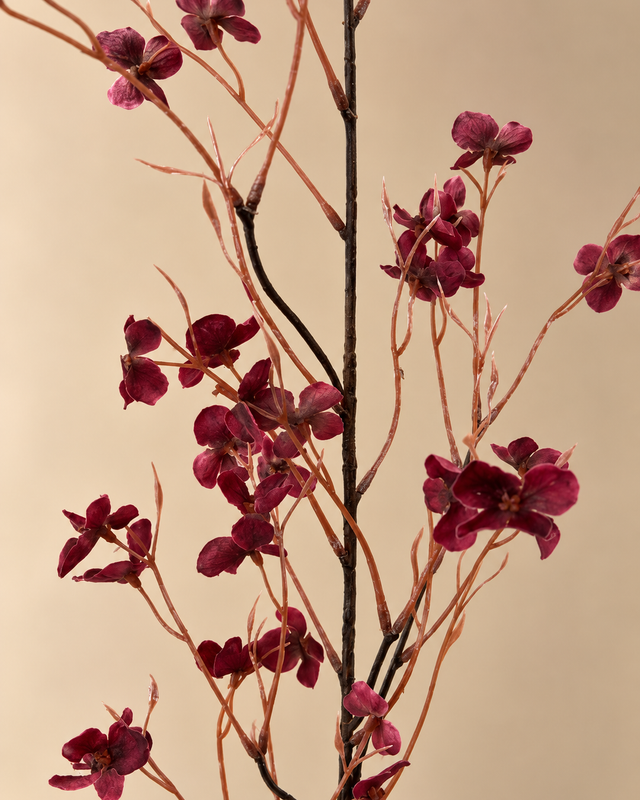 Floral Stem | Een elegante bordeauxrode tak vol kleine bloemetjes.