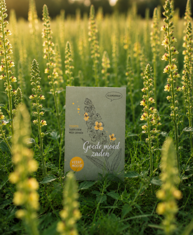 Bloemenzaadjes - Goede moed zaaien