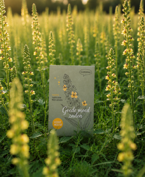 Bloemenzaadjes - Goede moed zaaien