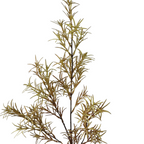 Rosemary Spray | Een frisse groene toevoeging aan ieder zijden boeket.