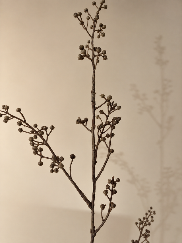 Berry Spray | Een warme bessentak voor herfst en winter.