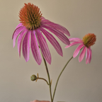 Roze zijden Echinacea | Sfeervolle zijden bloem voor een veldboeket