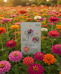 Bloemen zaadjes - Feest zaaien