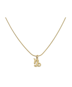Ketting sterrenbeeld - Steenbok
