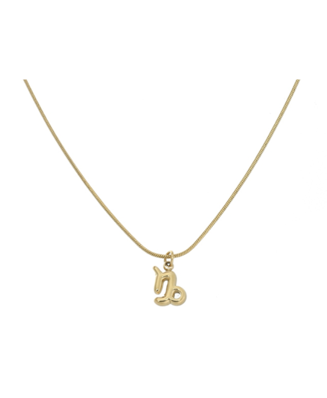 Ketting sterrenbeeld - Steenbok