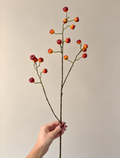 Figwort | Een kleurrijke bessentak voor de mooiste herfstboeketten.