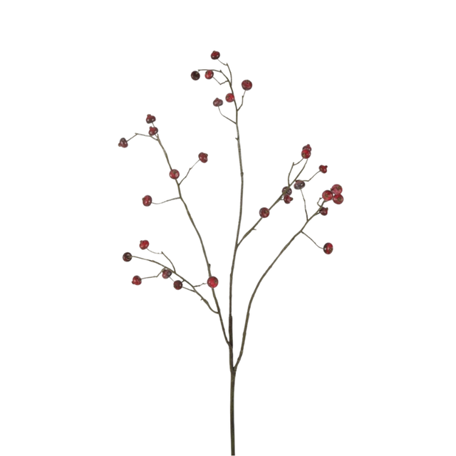 Rosehip Spray | Een warme bordeauxrode sfeermaker voor herfst en winter