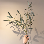 Olijftak groot: mediterrane sfeer in huis