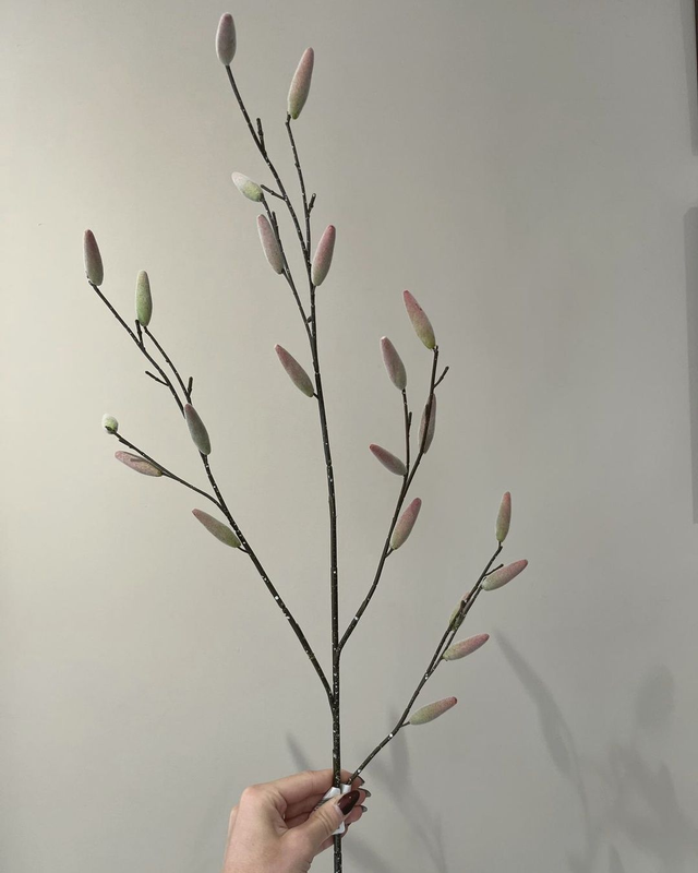 Salix Spray | Een natuurlijke tak voor sfeervolle boeketten.