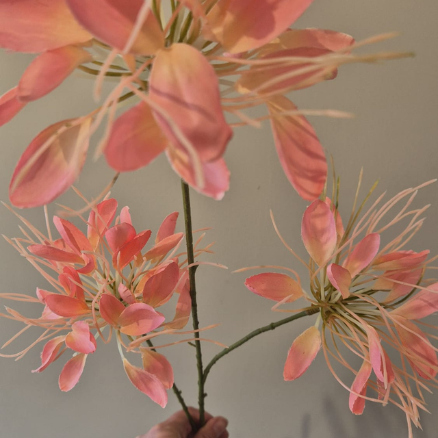 Roze zijden Lycoris | Elegante zijden bloem voor een stijlvolle vaas