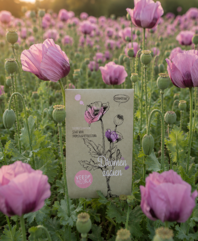 Bloemenzaadjes - Dromen zaaien