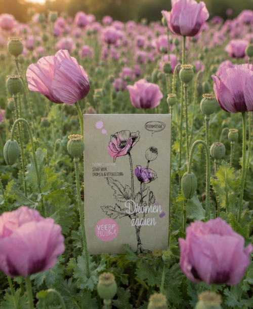 Bloemenzaadjes - Dromen zaaien