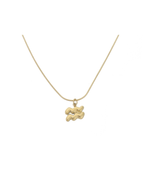 Ketting sterrenbeeld - Waterman