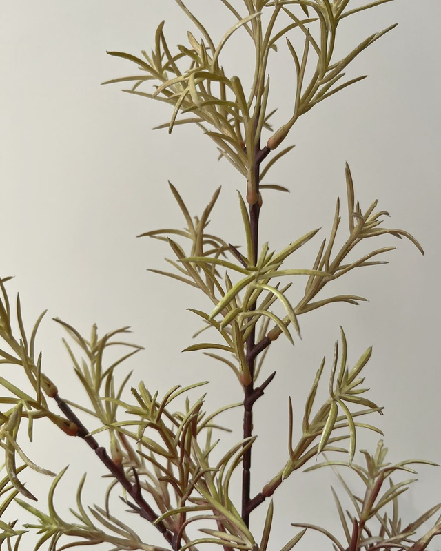 Rosemary Spray | Een frisse groene toevoeging aan ieder zijden boeket.