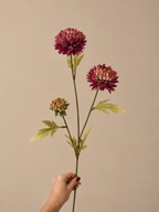 Aster Stem | Een warme bordeauxrode zijde bloem voor het najaar