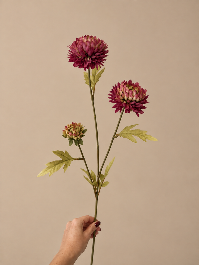 Aster Stem | Een warme bordeauxrode zijde bloem voor het najaar