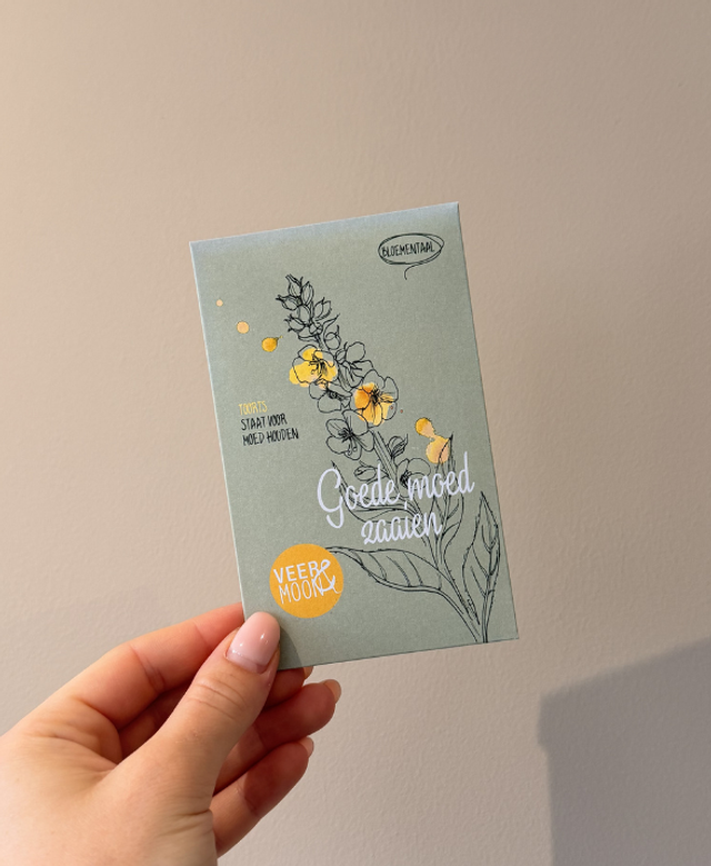 Bloemenzaadjes - Goede moed zaaien