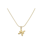Ketting sterrenbeeld - Vissen