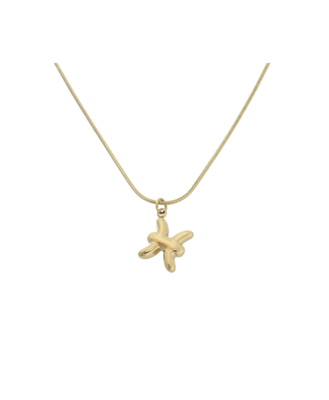 Ketting sterrenbeeld - Vissen