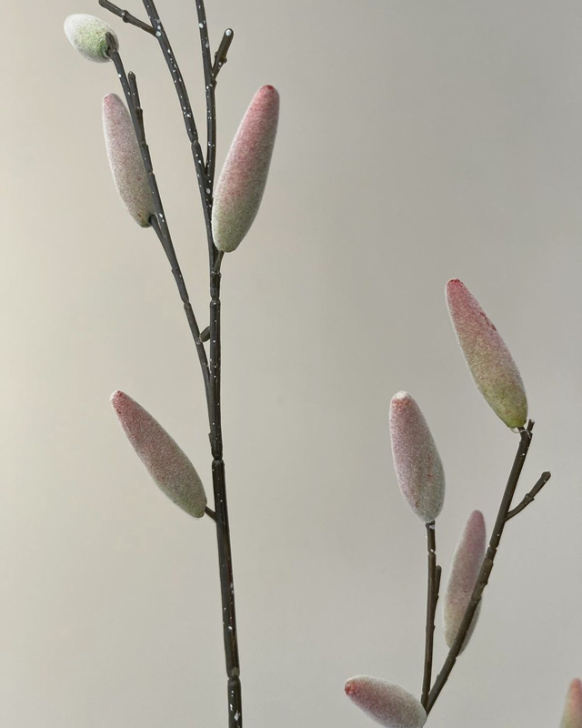 Salix Spray | Een natuurlijke tak voor sfeervolle boeketten.