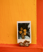 Doing goods card holder bloemen