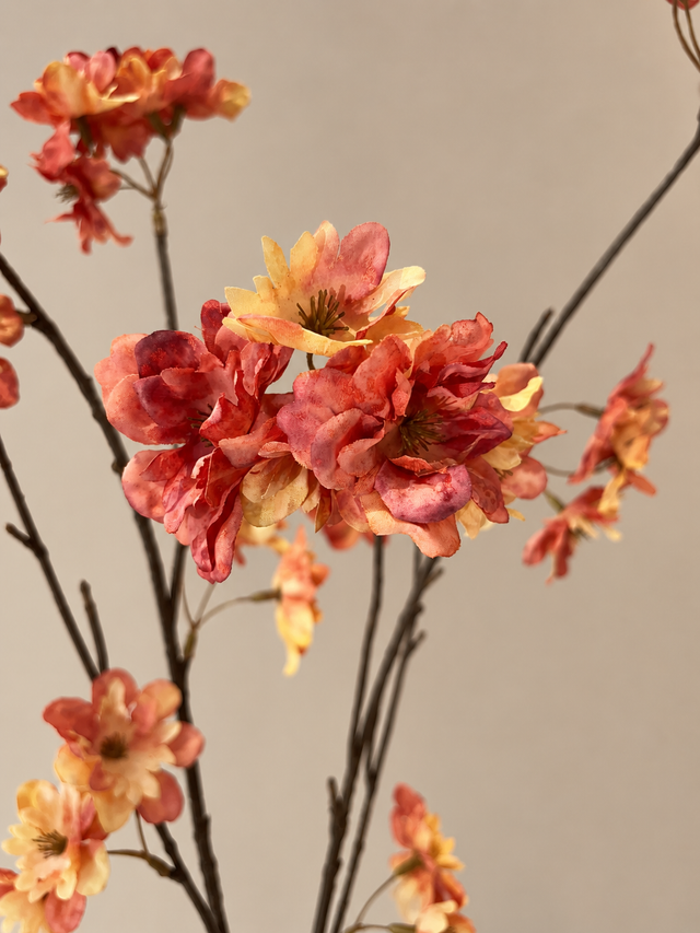 Cherry Blossom Spray Oranje | Een kleurrijke sfeermaker voor het najaar