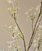 Bloem Zijden Wit Lente-ui – Breng een frisse en pure uitstraling in huis.