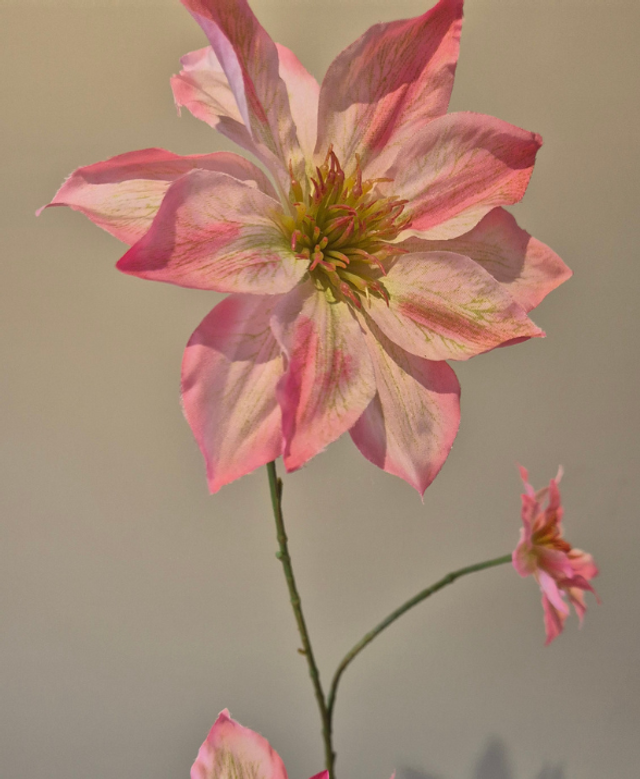 Roze zijden Clematis | Zijden bloem voor een sfeervol veldboeket