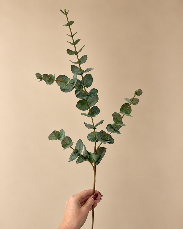 Eucalyptus Spray | De groene basis die ieder boeket compleet maakt.