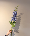 Zijdebloem Matthiola Donkerblauw | Donkerblauwe Zijden Bloem voor een Stijlvol Boeket