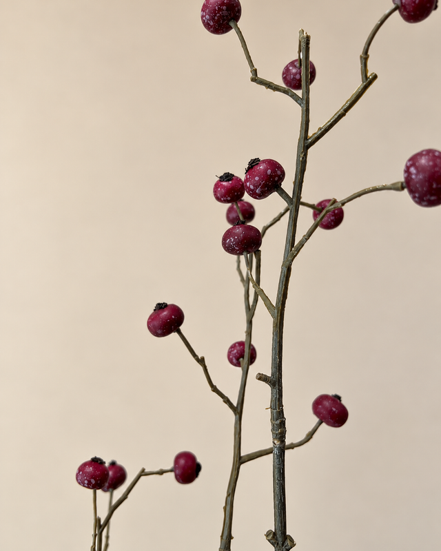 Rosehip Spray | Een warme bordeauxrode sfeermaker voor herfst en winter