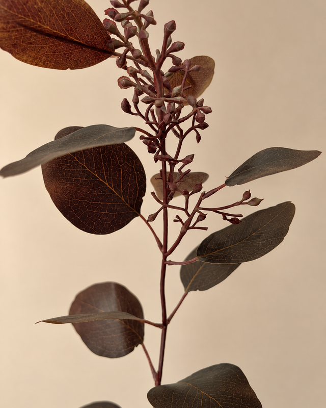 Eucalyptus Seed Spray | De warme basis voor ieder herfstboeket.