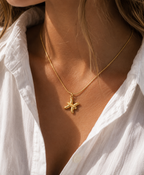 Ketting sterrenbeeld - Vissen